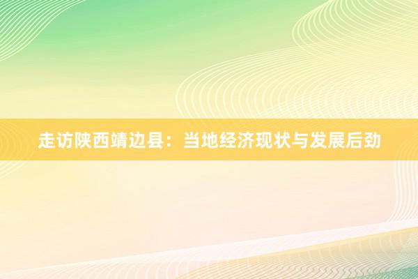 走访陕西靖边县：当地经济现状与发展后劲
